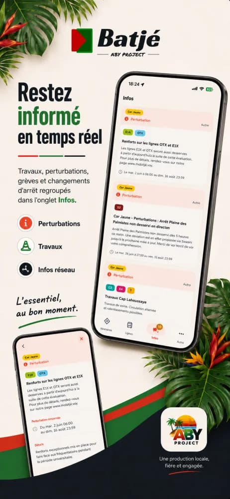 Aperçu des informations réseau dans l'application Batjé